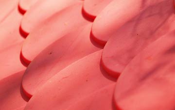 Shaw Lands plastic roof costs