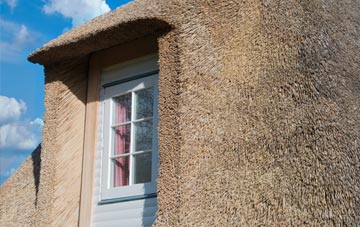 Shaw Lands thatch roof disadvantages