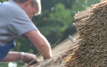 professional Shaw Lands thatchers